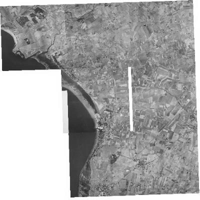 Export Image