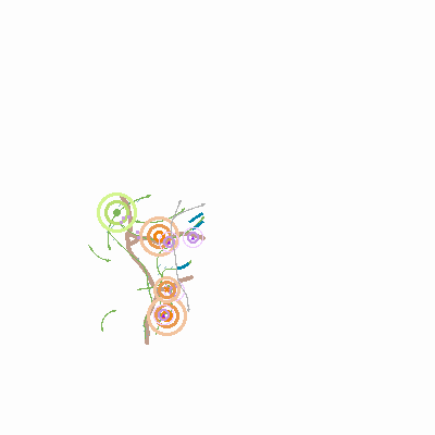 Export Image